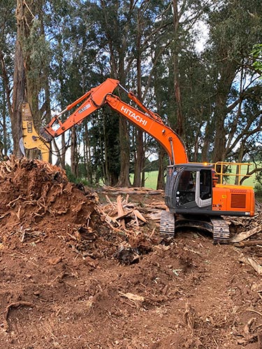 Land Clearing